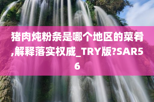 猪肉炖粉条是哪个地区的菜肴,解释落实权威_TRY版?SAR56