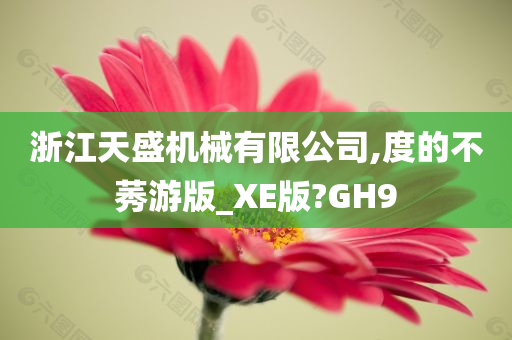 浙江天盛机械有限公司,度的不莠游版_XE版?GH9