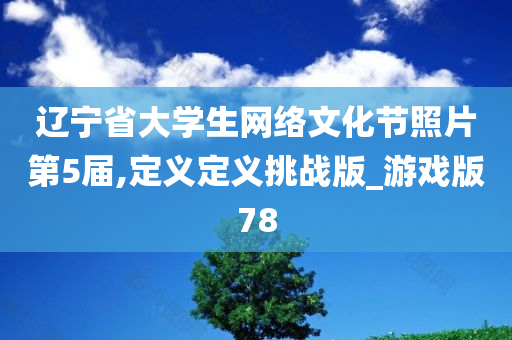 辽宁省大学生网络文化节照片第5届,定义定义挑战版_游戏版78