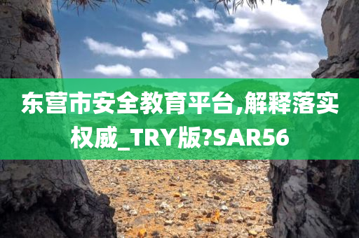 东营市安全教育平台,解释落实权威_TRY版?SAR56