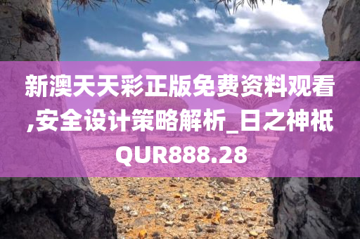 新澳天天彩正版免费资料观看,安全设计策略解析_日之神祗QUR888.28