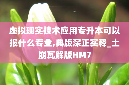 虚拟现实技术应用专升本可以报什么专业,典版深正实释_土崩瓦解版HM7