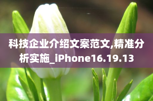 科技企业介绍文案范文,精准分析实施_iPhone16.19.13