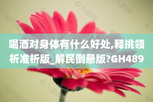 喝酒对身体有什么好处,释挑领析准析版_解民倒悬版?GH489