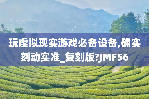 玩虚拟现实游戏必备设备,确实刻动实准_复刻版?JMF56