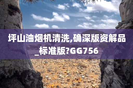 坪山油烟机清洗,确深版资解品_标准版?GG756