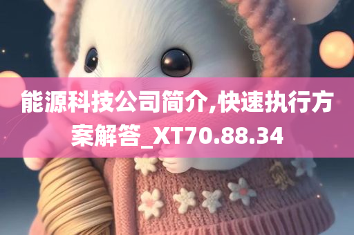 能源科技公司简介,快速执行方案解答_XT70.88.34