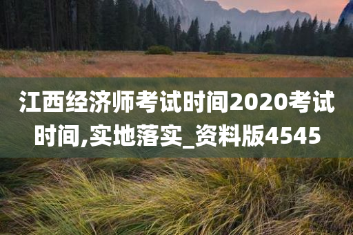 江西经济师考试时间2020考试时间,实地落实_资料版4545