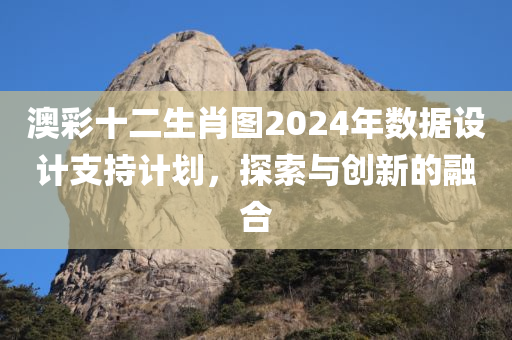 澳彩十二生肖图2024年数据设计支持计划，探索与创新的融合