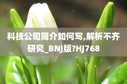 科技公司简介如何写,解析不齐研究_BNJ版?HJ768