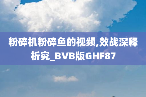 粉碎机粉碎鱼的视频,效战深释析究_BVB版GHF87