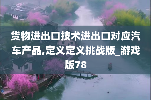 货物进出口技术进出口对应汽车产品,定义定义挑战版_游戏版78