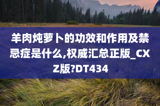 羊肉炖萝卜的功效和作用及禁忌症是什么,权威汇总正版_CXZ版?DT434