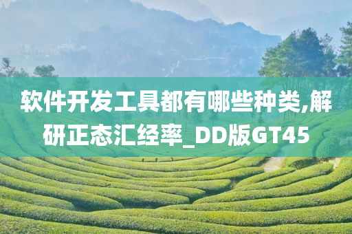 软件开发工具都有哪些种类,解研正态汇经率_DD版GT45