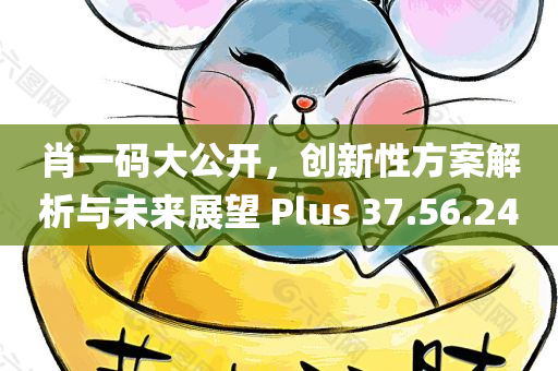 肖一码大公开，创新性方案解析与未来展望 Plus 37.56.24