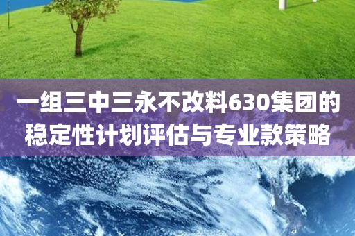 一组三中三永不改料630集团的稳定性计划评估与专业款策略