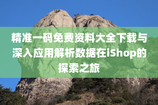 精准一码免费资料大全下载与深入应用解析数据在iShop的探索之旅