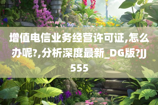 增值电信业务经营许可证,怎么办呢?,分析深度最新_DG版?JJ555