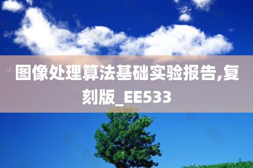 图像处理算法基础实验报告,复刻版_EE533