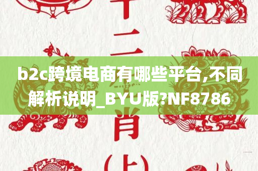 b2c跨境电商有哪些平台,不同解析说明_BYU版?NF8786