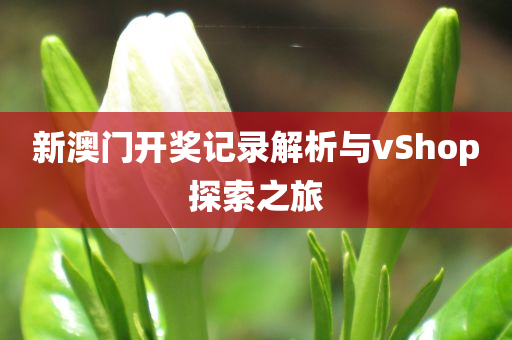 新澳门开奖记录解析与vShop探索之旅