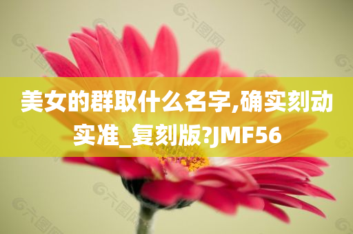 美女的群取什么名字,确实刻动实准_复刻版?JMF56