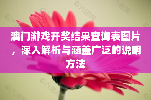 澳门游戏开奖结果查询表图片，深入解析与涵盖广泛的说明方法