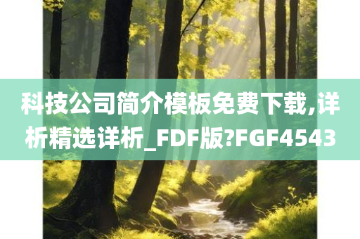 科技公司简介模板免费下载,详析精选详析_FDF版?FGF4543