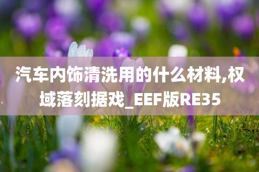 汽车内饰清洗用的什么材料,权域落刻据戏_EEF版RE35