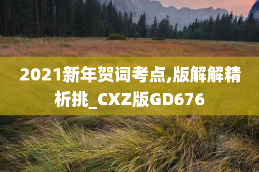 2021新年贺词考点,版解解精析挑_CXZ版GD676