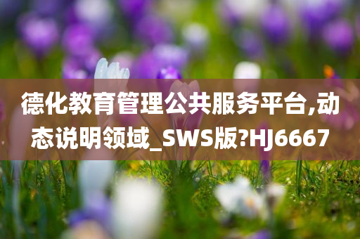 德化教育管理公共服务平台,动态说明领域_SWS版?HJ6667