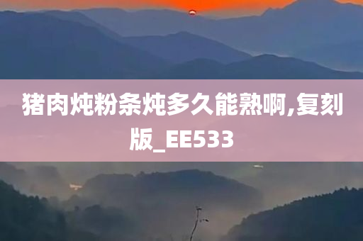 猪肉炖粉条炖多久能熟啊,复刻版_EE533