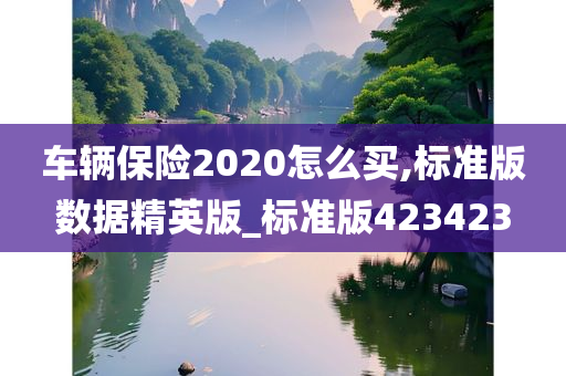 车辆保险2020怎么买,标准版数据精英版_标准版423423