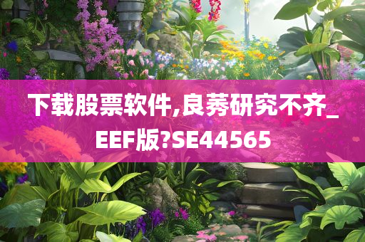 下载股票软件,良莠研究不齐_EEF版?SE44565