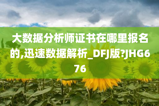 大数据分析师证书在哪里报名的,迅速数据解析_DFJ版?JHG676