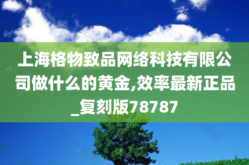 上海格物致品网络科技有限公司做什么的黄金,效率最新正品_复刻版78787