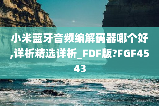 小米蓝牙音频编解码器哪个好,详析精选详析_FDF版?FGF4543