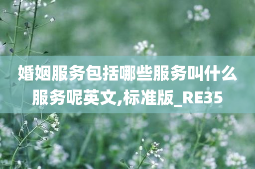 婚姻服务包括哪些服务叫什么服务呢英文,标准版_RE35