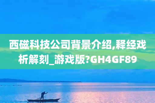 西磁科技公司背景介绍,释经戏析解刻_游戏版?GH4GF89