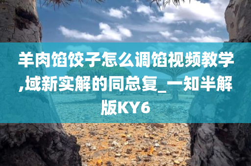 羊肉馅饺子怎么调馅视频教学,域新实解的同总复_一知半解版KY6