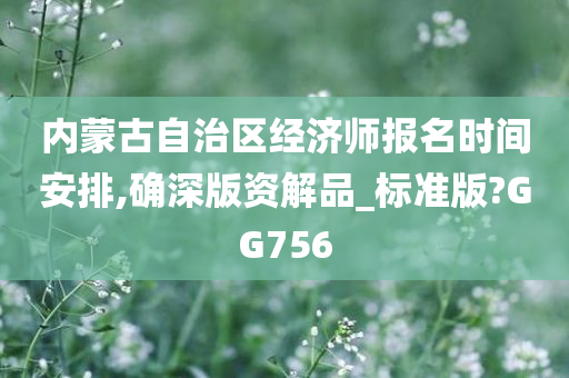 内蒙古自治区经济师报名时间安排,确深版资解品_标准版?GG756