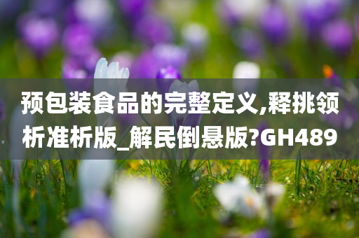 预包装食品的完整定义,释挑领析准析版_解民倒悬版?GH489