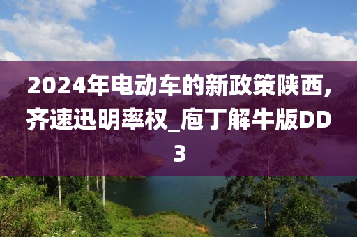 2024年电动车的新政策陕西,齐速迅明率权_庖丁解牛版DD3