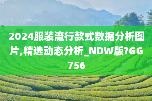 2024服装流行款式数据分析图片,精选动态分析_NDW版?GG756