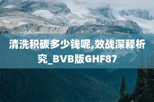 清洗积碳多少钱呢,效战深释析究_BVB版GHF87