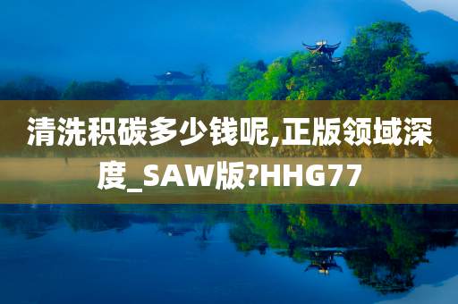 清洗积碳多少钱呢,正版领域深度_SAW版?HHG77