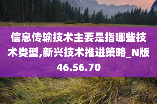 信息传输技术主要是指哪些技术类型,新兴技术推进策略_N版46.56.70