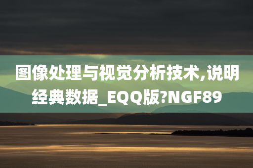 图像处理与视觉分析技术,说明经典数据_EQQ版?NGF89