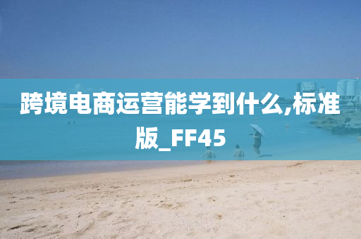 跨境电商运营能学到什么,标准版_FF45