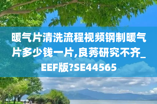 暖气片清洗流程视频钢制暖气片多少钱一片,良莠研究不齐_EEF版?SE44565